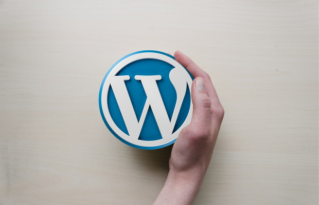 Co na WordPressu nejvíce oceňují naši klienti?